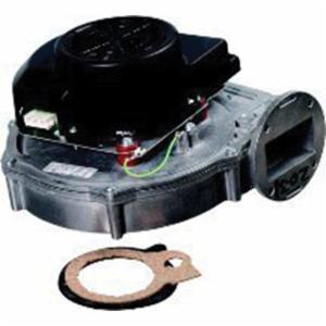 Lochinvar 100145004