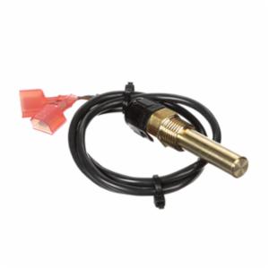 Lochinvar 100208548