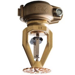 Victaulic S49LSDQM10