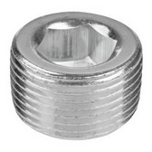 304/304L Stainless Steel Fittings Plug