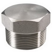 Forged Steel Fittings Plug