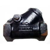 Ductile Iron Threaded Swing Check Valve