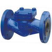 Globe Check Valve