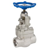 Carbon Steel Socket Weld Globe Valve
