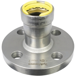 Flange