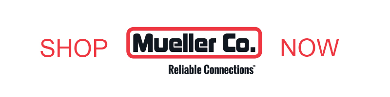 mueller_banner_cat.jpg