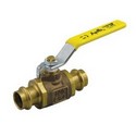 Apollo Valves 77W-104-01
