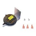 Lochinvar 100166230