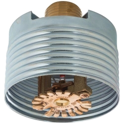 Victaulic S491NCQH10