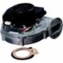 Lochinvar 100145004