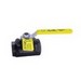 Apollo Valves 73A-103-01A