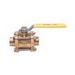 Apollo Valves 82-202-01