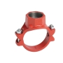 Victaulic CF30920PE2